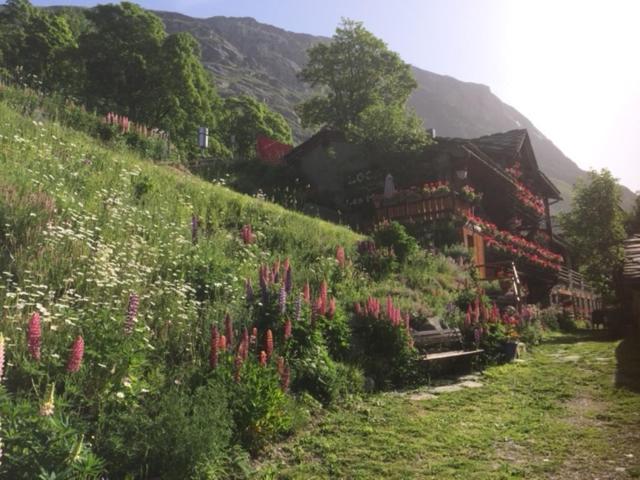 보네발쉬르아르크 Le P'Tit Coin Montagne 아파트 외부 사진